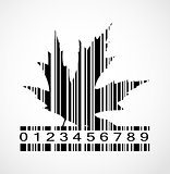 Barcode Autumn Maple Leaf  Image Vector Illustration