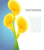 Invitation with callas flowers