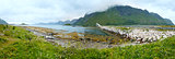 Lofoten summer panorama (Norway).