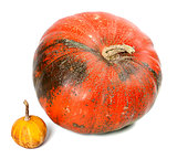Big and small pumpkins