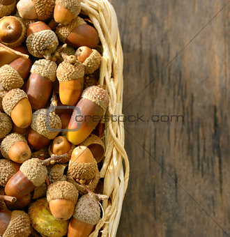  basket full of acorns