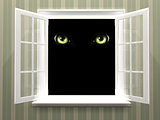 Eyes of monster  in open window
