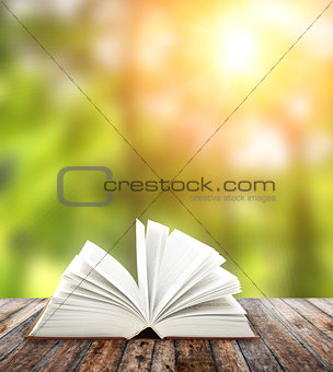 Book on wooden planks