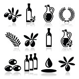 Olive oil, olive branch icons set
