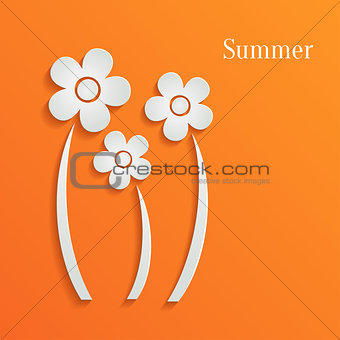 Summer white flowers on orange background