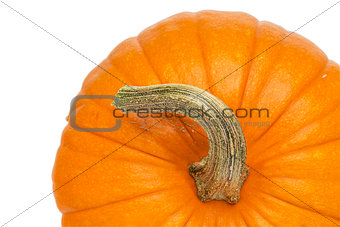 pumpkin abstract background