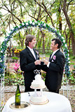 Happy Gay Couple Gets Married