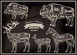 vector diagram cut carcasses boar, bison, deer, horse