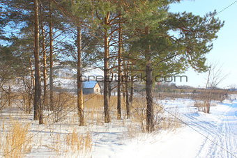 House near forest in winter