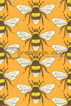 Sketch bumble bee in vintage style