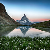 Matterhorn reflection in Riffelsee with flowers, Zermatt, Alps,