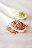 Raw ingredient of cocoa and green tea powder 