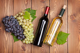 Red and white wine bottles and bunch of grapes