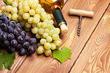 White wine bottle and bunch of grapes