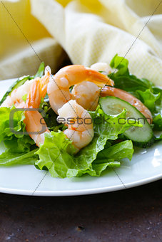 green salad with fresh cucumbers and shrimps