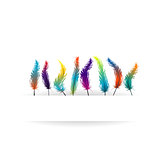 Parrot feather background