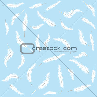 White feathers flying on blue sky