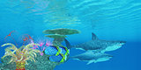 Great White Shark Reef