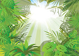 lighting jungle background ,vector