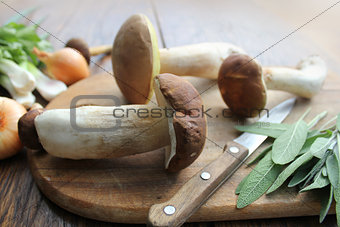 Mushroom boletus on cutting board