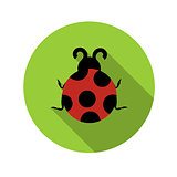 Flat Design Concept Ladybug Vector Illustration With Long Shadow