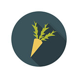 Flat Design Concept Carrot Vector Illustration With Long Shadow.