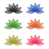 Lotus in different colors- logo for business