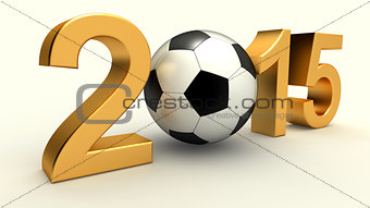 Year 2015 soccer