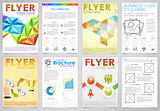 Collect Flyer Design Template