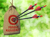 Program Management - Arrows Hit in Red Target.
