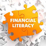 Financial Literacy on Orange Puzzle.