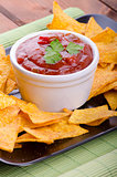 Tortilla chips with spicy tomato salsa