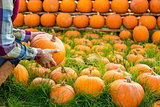 Closeup on young woman holding pumpkin
