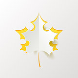 Abstract Yellow Maple Leaf Isolated on White Background