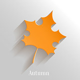 Abstract Orange Maple Leaf on White Background