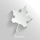 Abstract Maple Leaf on White Background