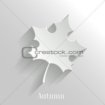 Abstract Maple Leaf on White Background