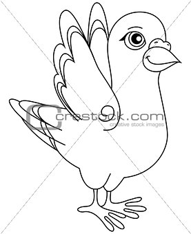 illustration. Unpainted funny cartoon pigeon positive