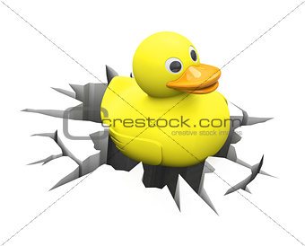 duck inside a crack