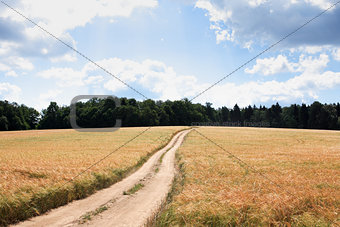 Road Over Field