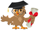 One owl diploma