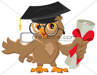 One owl diploma