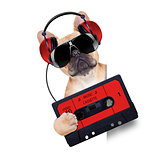 dj disco dog