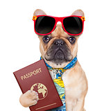 dog passport