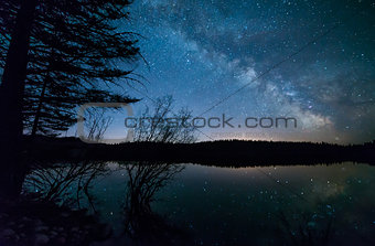Trees With Milky Way