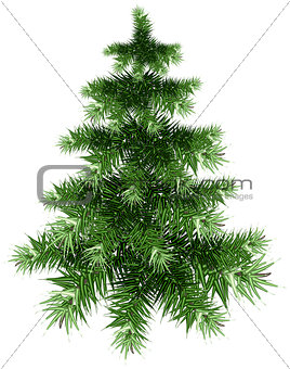 Fluffy green Christmas tree