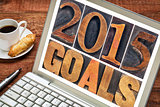 2015 goals in wood type