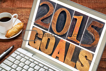 2015 goals in wood type
