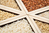 rice grain abstract
