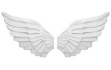 the angel's wings